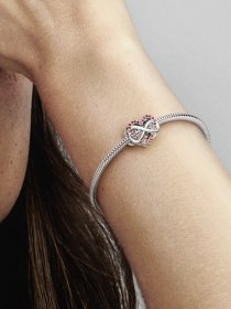 Класичні PANDORA модель 792246C01 Фото