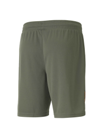 Шорты PUMA Fcsd Shorts Replica модель 765639 Фото