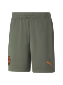 Шорты PUMA Fcsd Shorts Replica модель 765639 Фото