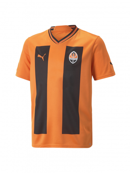 Футболки і поло PUMA Fcsd Home Jersey Replica Jr модель 765629 Фото