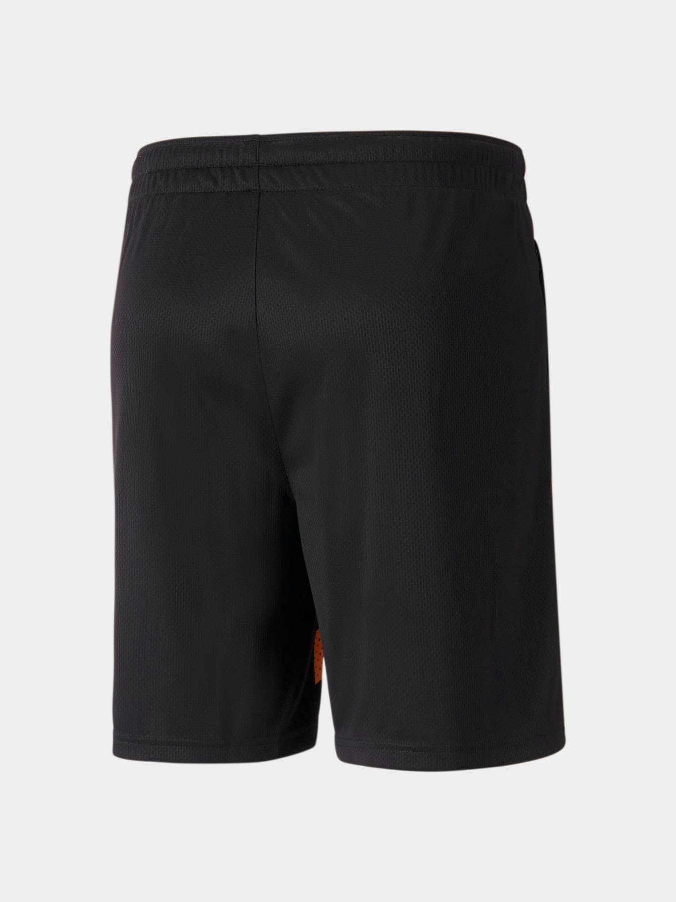 Шорты PUMA Fcsd Training Shorts модель 767246 Фото