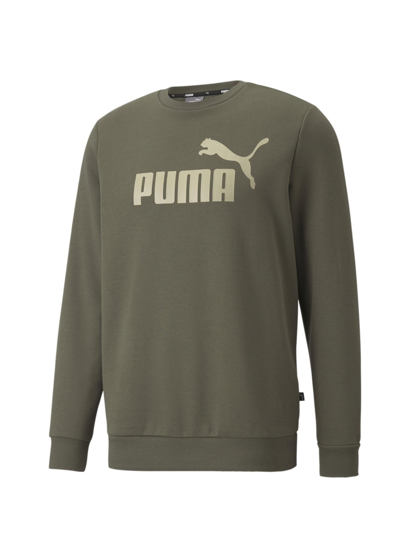 Худи и свитшоты PUMA модель 586679 Фото