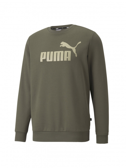 Худи и свитшоты PUMA модель 586679 Фото