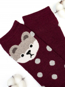 Шкарпетки та гольфи ISSA Plus модель NS-162_burgundy Фото