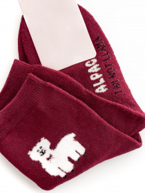 Шкарпетки та гольфи ISSA Plus модель NS-165_burgundy Фото