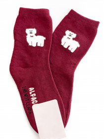 Шкарпетки та гольфи ISSA Plus модель NS-165_burgundy Фото