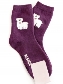 Шкарпетки та гольфи ISSA Plus модель NS-165_purple Фото