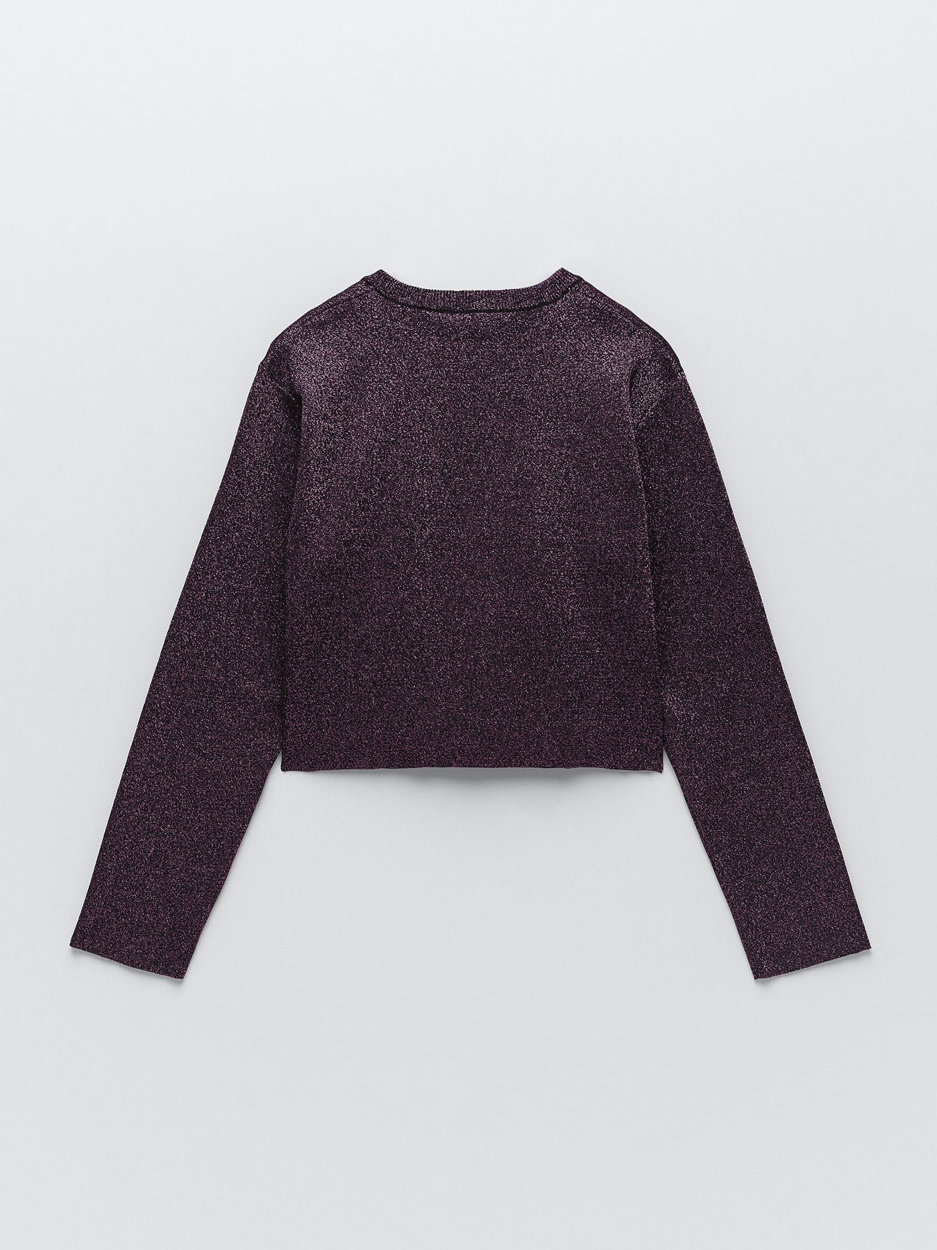 Худи и свитшоты ZARA модель 65011 Фото