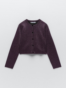 Худи и свитшоты ZARA модель 65011 Фото