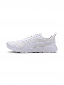 Кросівки PUMA Flex Renew модель 371120 Фото