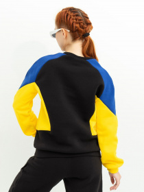 Худі та світшоти ISSA Plus модель 13616_black Фото