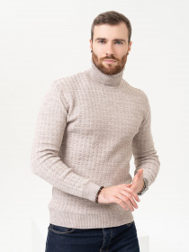 Светри та кардигани ISSA Plus модель GN4-90_beige Фото