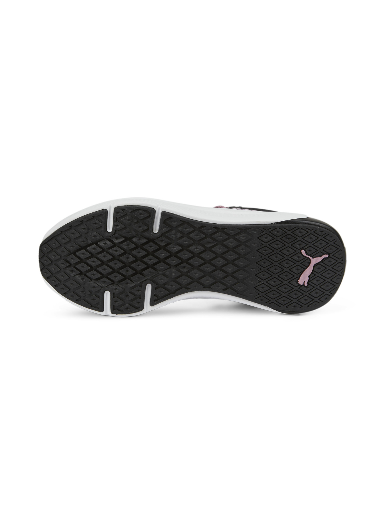 Кросівки PUMA Softride Pro Wns модель 377045 Кросівки PUMA Softride Pro Wns модель 377045 Фото