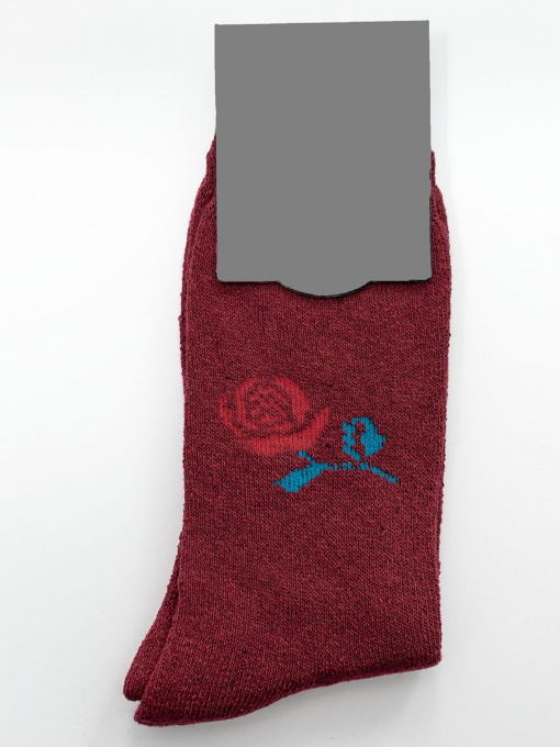 Шкарпетки та гольфи ISSA Plus модель NS-211_burgundy Фото