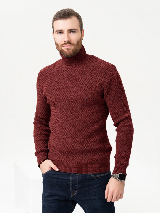 Светри та кардигани ISSA Plus модель GN4-87_burgundy Фото