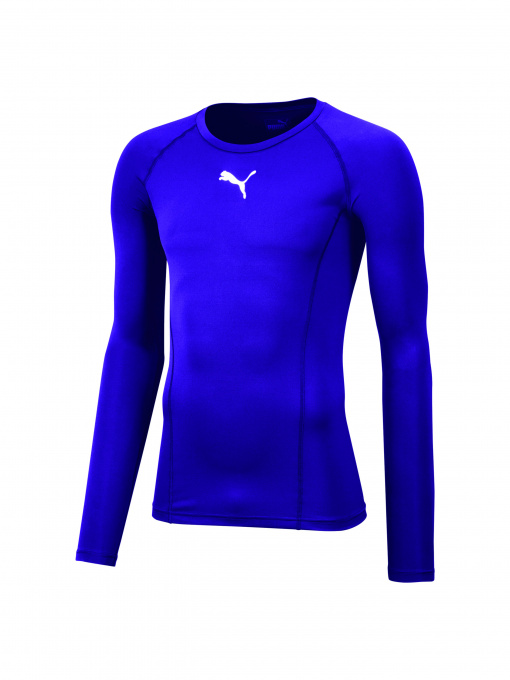 Худи и свитшоты PUMA Liga Baselayer Tee Ls модель 655920 Фото