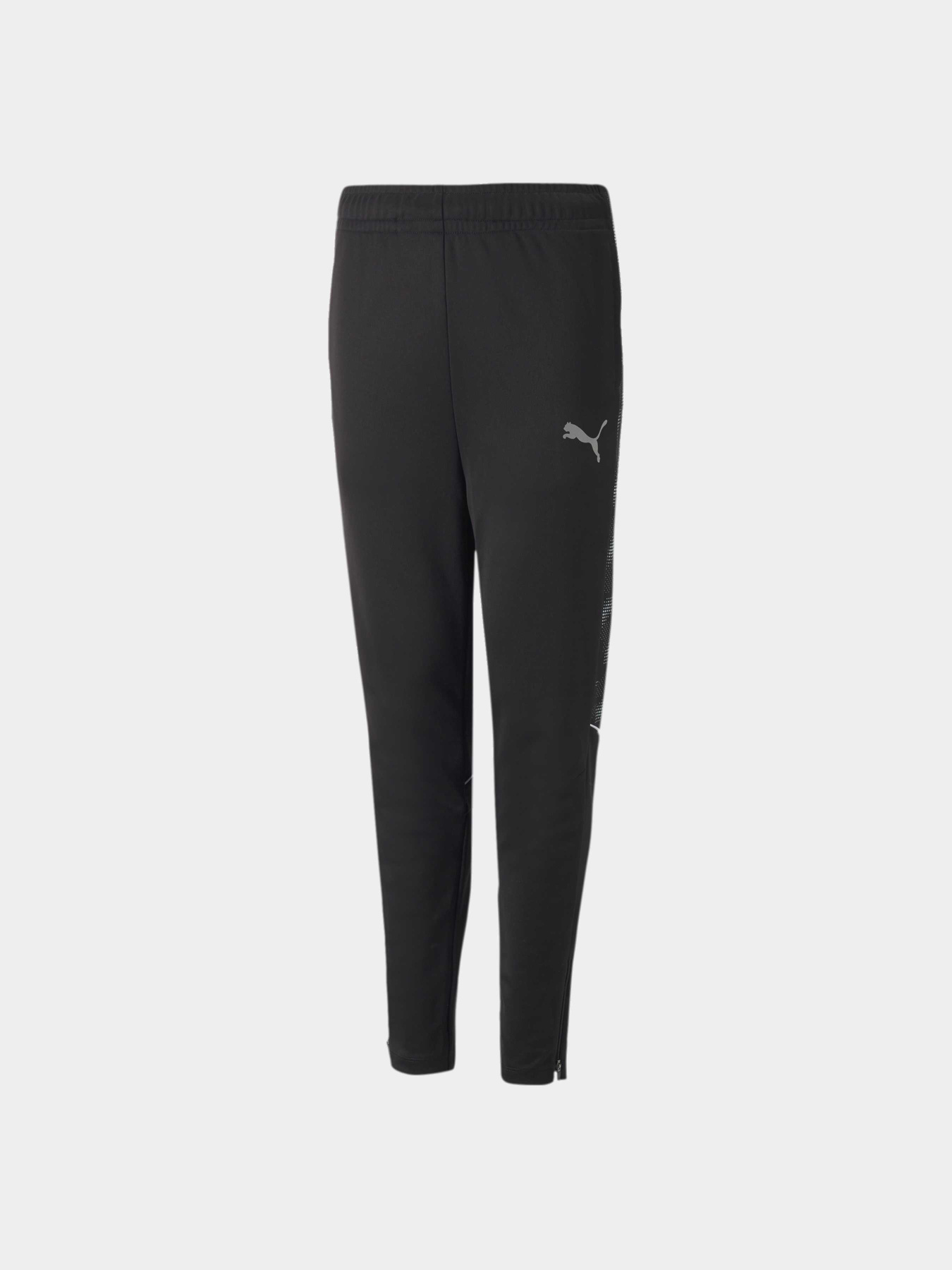 Брюки PUMA Active Sports Poly Pants модель 670084 Фото