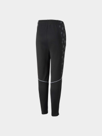 Брюки PUMA Active Sports Poly Pants модель 670084 Фото