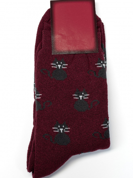 Носки и гольфы ISSA Plus модель NS-242_burgundy Фото