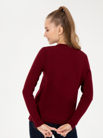 Свитры и кардиганы US Polo модель G082GL0TH.000.1430187.VR014 Фото