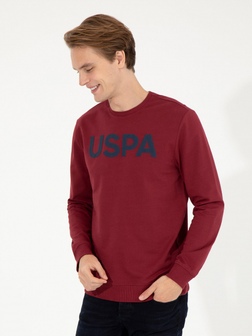 Худи и свитшоты US Polo модель G081SZ082.000.1454251.VR223 Фото