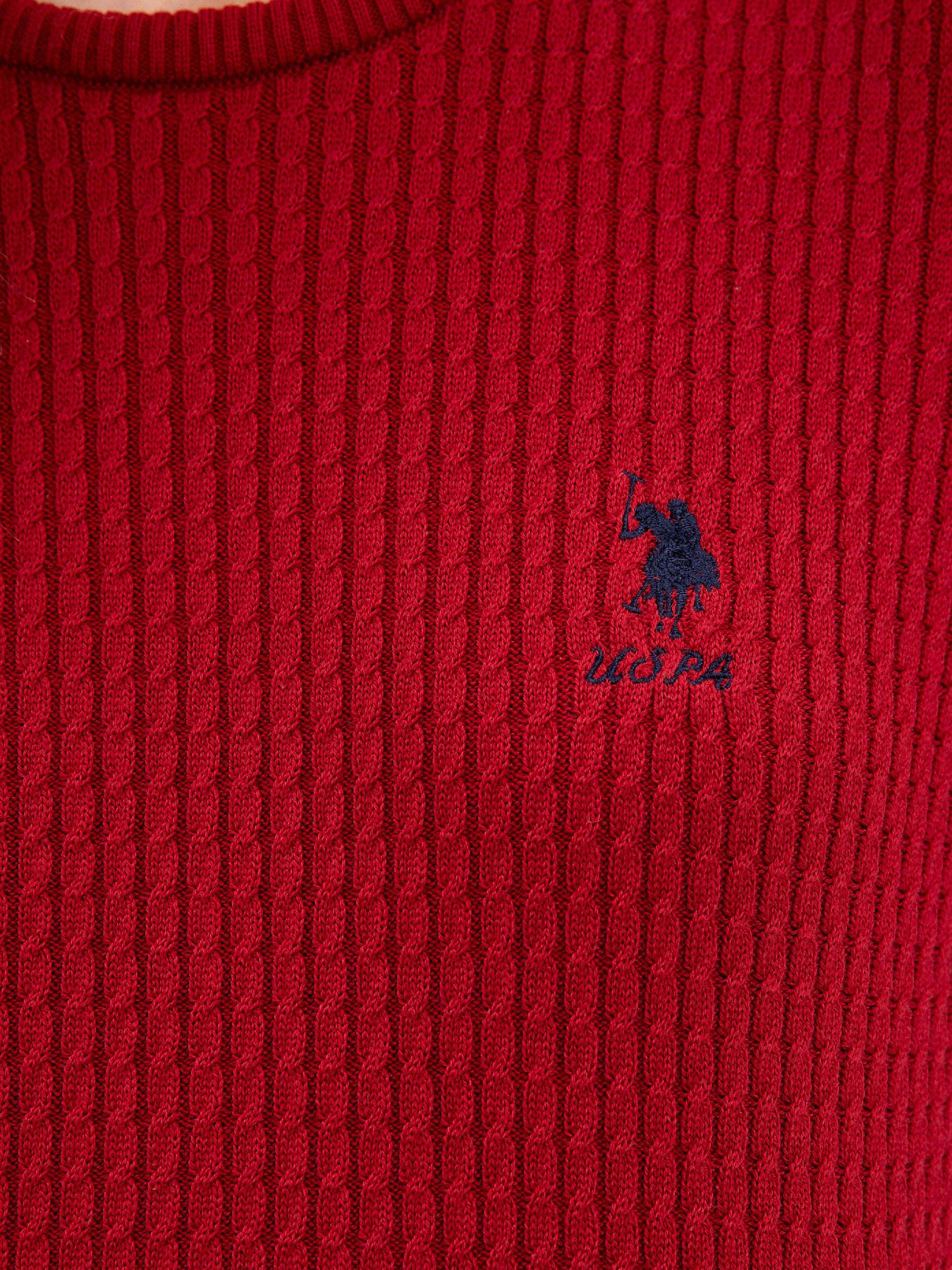 Худі та світшоти US Polo модель G082SZ0TK.000.1078704.VR030 Фото