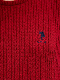 Худі та світшоти US Polo модель G082SZ0TK.000.1078704.VR030 Фото