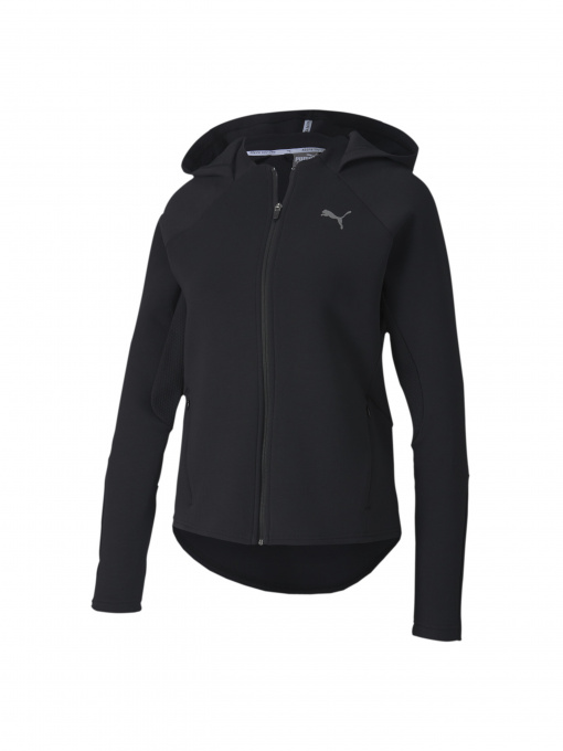 Худи и свитшоты PUMA Evostripe Fz Hoody модель 581245 Фото
