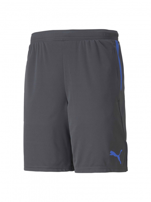 Шорты PUMA Individualcup Shorts модель 657546 Фото