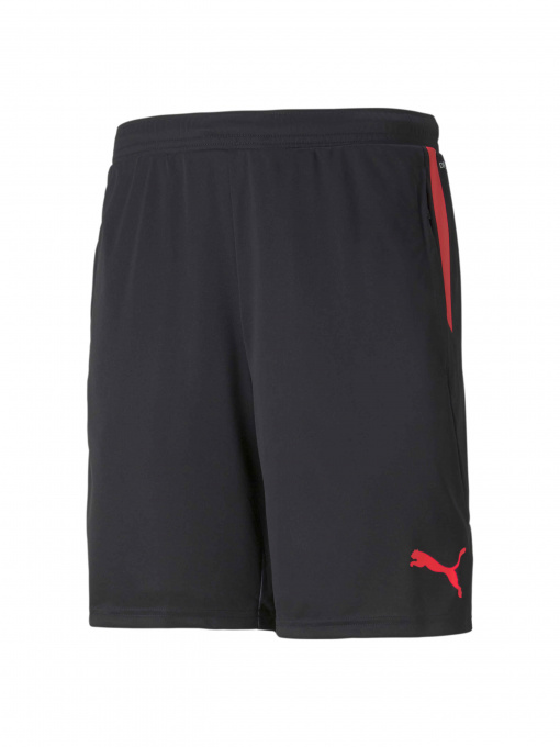 Шорты PUMA Individualcup Shorts модель 657546 Фото