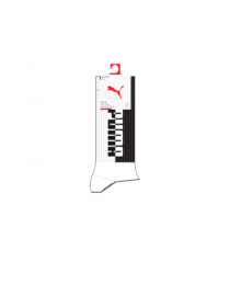 Шкарпетки та гольфи PUMA Men Seasonal Sock 2P модель 907965 Фото