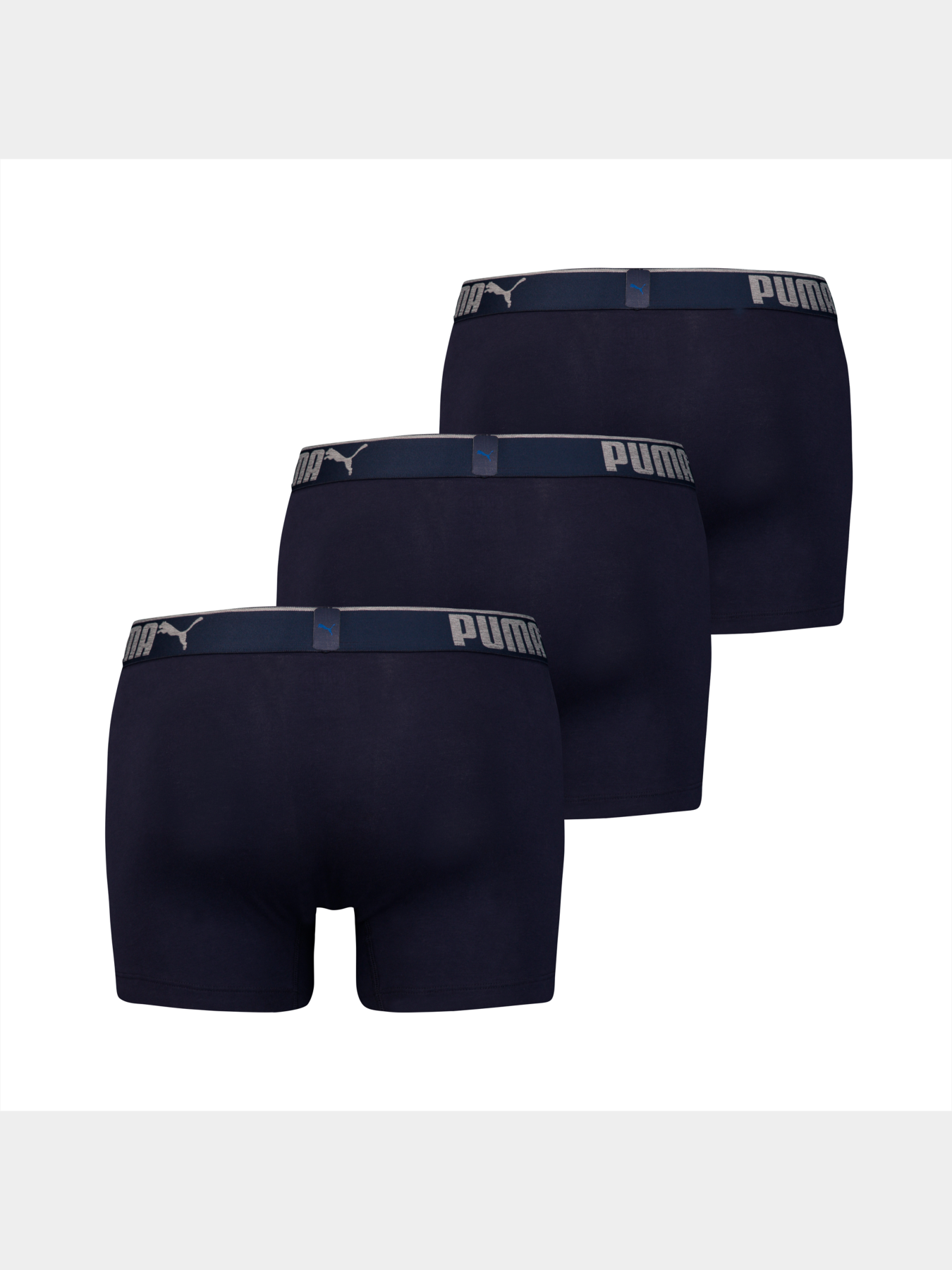 Нижнее белье PUMA Lifestyle Sueded Cotton модель 907268 Фото