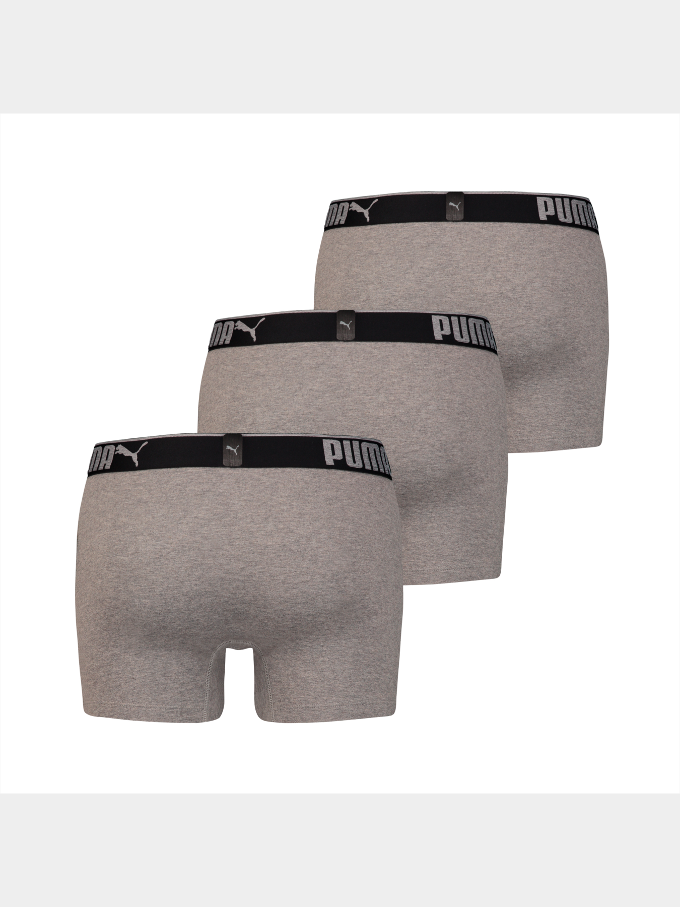 Нижнее белье PUMA Lifestyle Sueded Cotton модель 907268 Фото