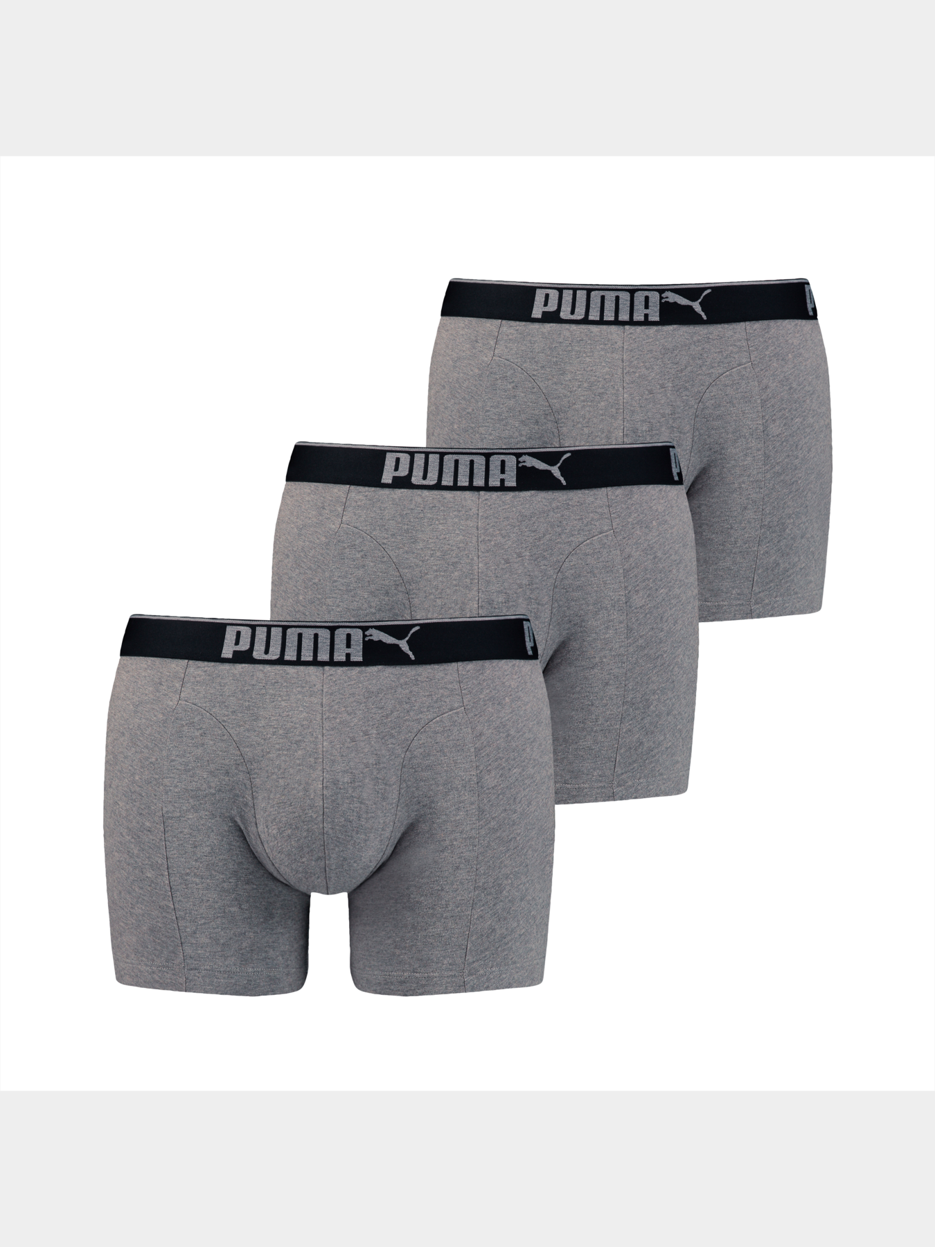Нижнее белье PUMA Lifestyle Sueded Cotton модель 907268 Фото