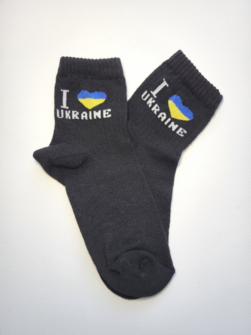 Шкарпетки та гольфи ISSA Plus модель NS-186_black Фото