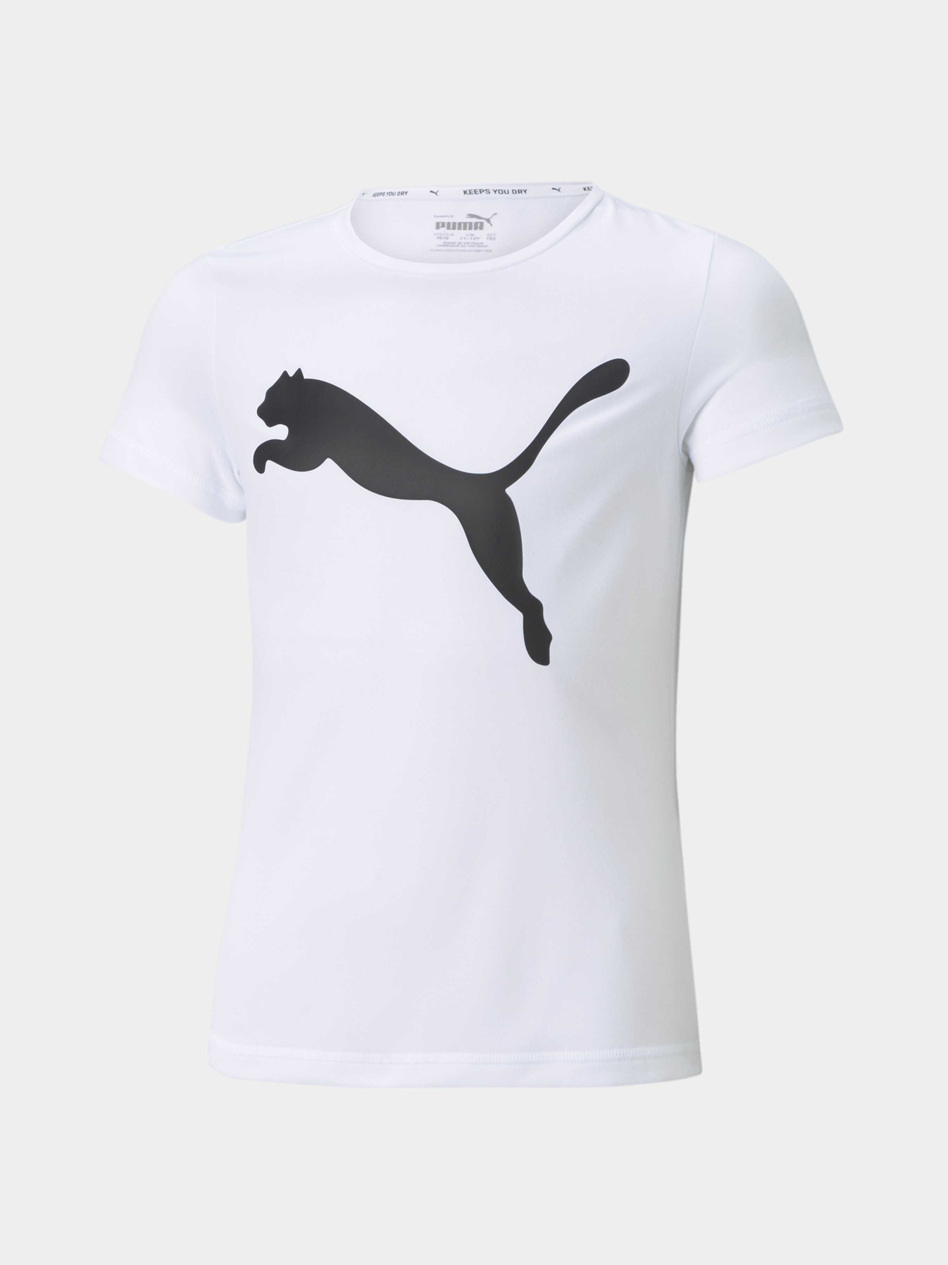 Футболки и поло PUMA Active Tee модель 587007 Фото
