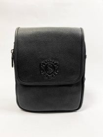Сумки Legessy модель F015_2 Фото