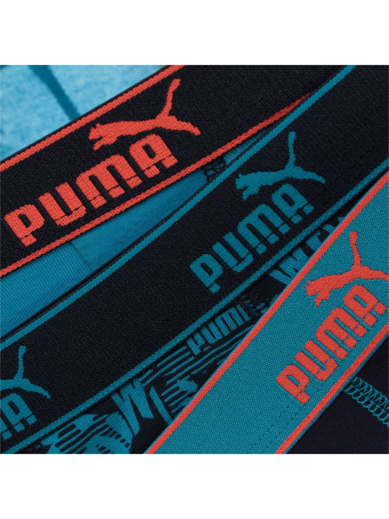 Нижня білизна PUMA Basic Boxer Play Loud P модель 907317 Фото