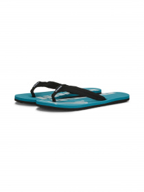 Шлёпанцы PUMA Epic Flip V2 модель 360248 Фото