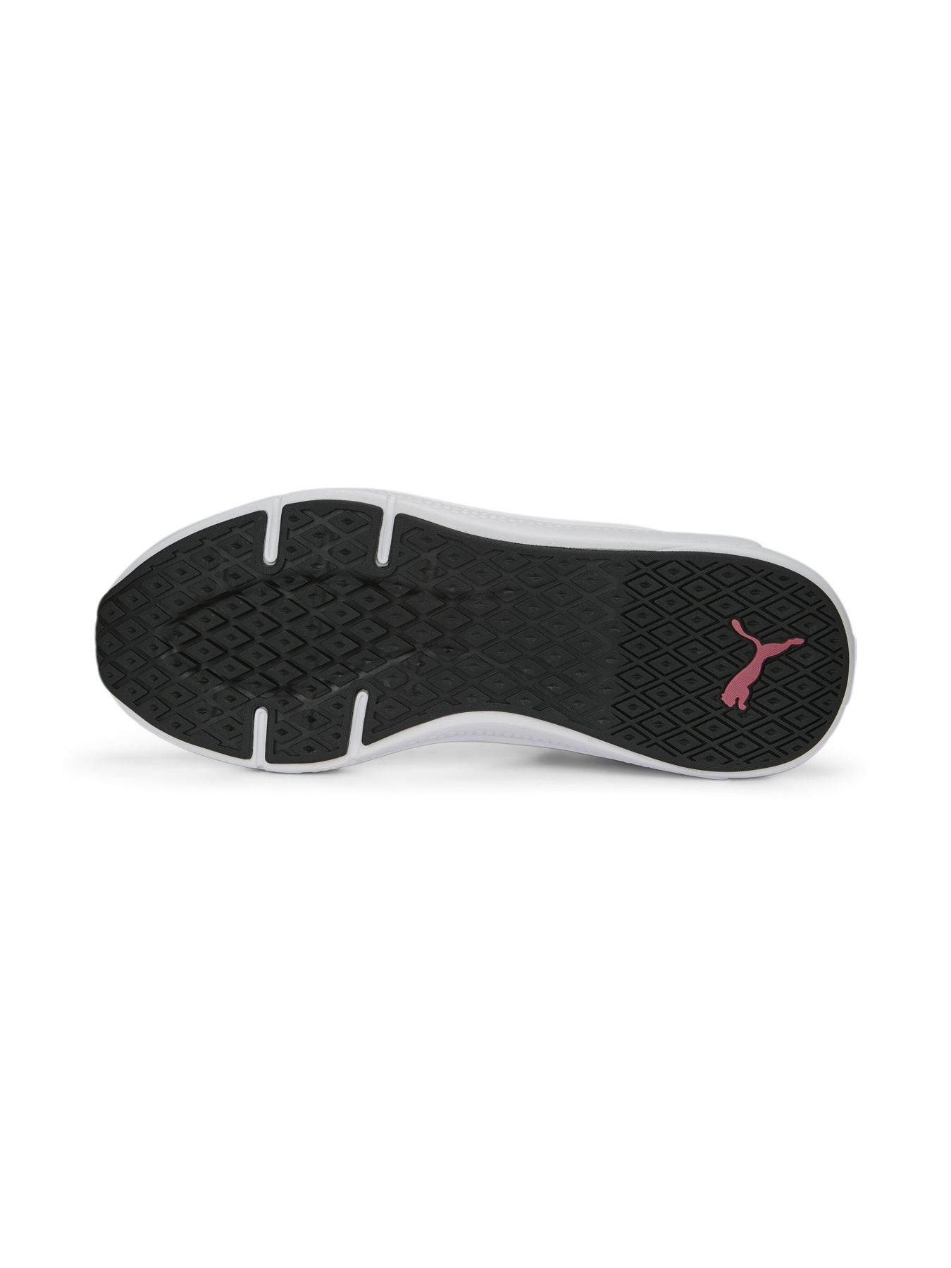Кросівки PUMA Softride Pro Wns модель 377045 Кросівки PUMA Softride Pro Wns модель 377045 Фото