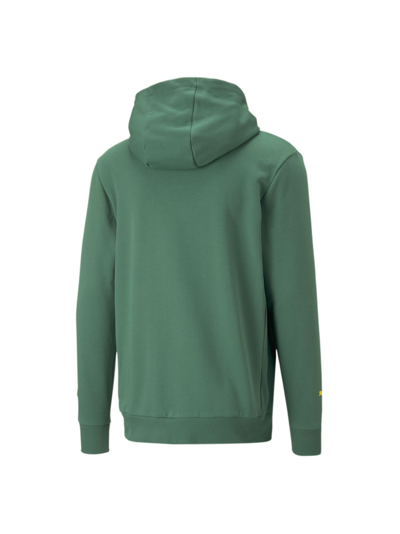 Худи и свитшоты PUMA Pl Graphic Hoodie модель 538234 Худи и свитшоты PUMA Pl Graphic Hoodie модель 538234 Фото