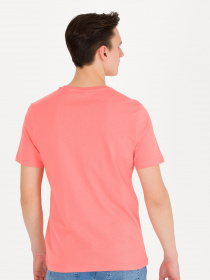 Футболки і поло US Polo модель G081SZ011.000.1571124.VR047 Фото