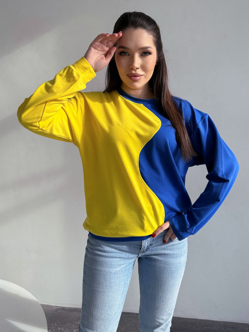 Худі та світшоти ISSA Plus модель 13755_yellowblue Фото