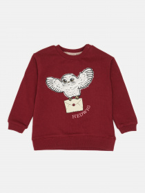 Худи и свитшоты H&M модель 57835 Фото