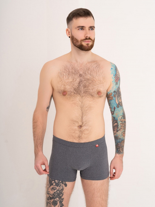Нижня білизна ISSA Plus модель GN5-169_grey Фото