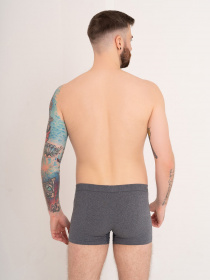 Нижня білизна ISSA Plus модель GN5-169_grey Фото