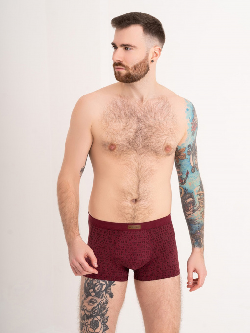 Нижня білизна ISSA Plus модель GN5-170_burgundy Фото