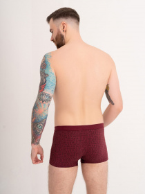 Нижнее белье ISSA Plus модель GN5-170_burgundy Фото