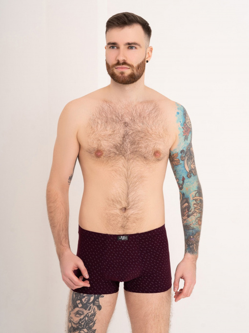Нижня білизна ISSA Plus модель GN5-171_burgundy Фото