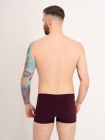 Нижня білизна ISSA Plus модель GN5-171_burgundy Фото